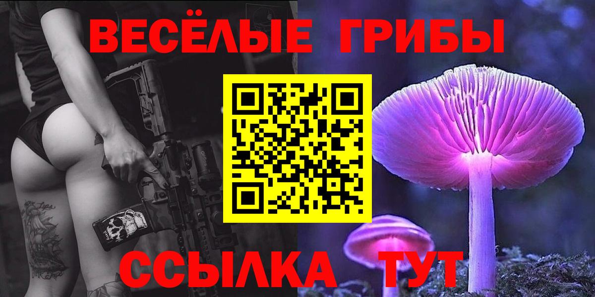 Псилоцибиновые грибы Psilocybine cubensis Нижний Новгород